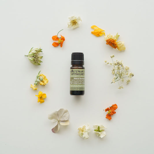 Natural Burning Oil No.2 Lemongrass blend image 0